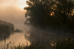 Утро / река,туман,утро
