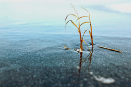 Зато вдвоём / Выжить среди стужи...