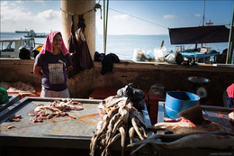 Морские рынки Борнео / Атмосфера, царящая на рыбных рынках Борнео заслуживает отдельного разговора. Казалось бы, что может быть банальнее — обычный рынок. Борнео же остров, и вполне естественно, что рыба составляет основу рациона местных жителей. Но это только на словах, а есть еще эмоции, которые захлестывают, когда рано утром, фактически с рассветом солнца — а рыбу привозят после ночного улова, выгружают из лодок и продают именно рано утром — потом становится слишком жарко и она быстро портится — попадаешь в этот особый мир моря, извлеченный на берег.

В ноябре 18 мы опять едем снимать на Борнео небольшой группой. И еще пока есть места. Подробнее можно посмотреть по ссылке http://alexeyterentyev.ru/tours/v-gosti-k-morskim-tsyganam-i-nosatym-obezyanam-na-borneo/