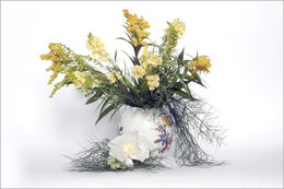 &nbsp; / Натюрморт