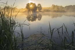 Утро в теплых тонах / Прекрасное летнее утро на реке