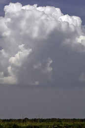 ПРИРОДА САМЫЙ ЛУЧШИЙ ХУДОЖНИК / Ветер рисует в облаках человеческие портреты. Голова во французской шляпе, в очках, смотрит в левый верхний угол.