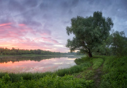 Июль / утро на озере