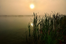 Туман / Утренний туман над озером