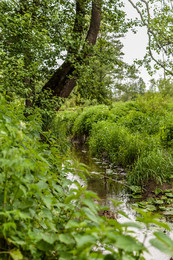 Тихая речка / река