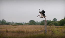 Точка невозврата / Точка невозврата