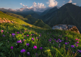 Красочная Дигория. / Национальный парк &quot;Алания&quot;, Республика Северная Осетия.