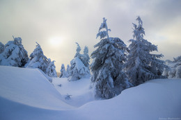 Спящие / прорыв на хребет.
Карпаты, Украина. история https://viterman.livejournal.com/7737.html