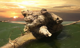 ХАДЖИБЕЙ / одесса