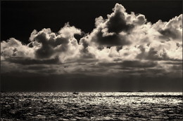 НАЕДИНЕ / ...