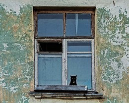 окно в мир VII / Деревня Лесное, 17 июля 2018 года от Р. Х.