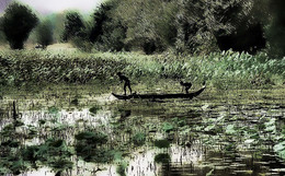 Зеленая пятница / На одном из озер Камбоджи