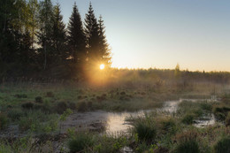Солнечный привет мая / Рассветные туманы.