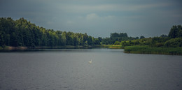 А белый лебедь на пруду... / Находясь на рыбалке,удалось лицезреть такое чудо...Гомельская область,Рогачевский район,Беларусь