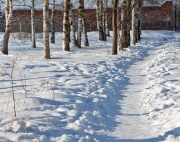 Зимняя зарисовка. / Лес , кирпичная стена, тропинка, снег...
