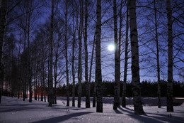 В холодном сумраке ночном / Лунная зимняя ночь.