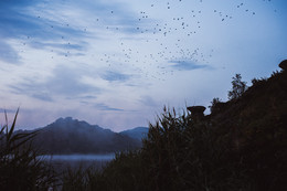 Тайна озера N / Стая ворон и туман навеяли такую, немного мрачную фотографию