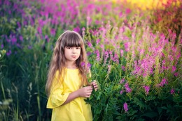 В мышином горохе / модель Александра Невзорова