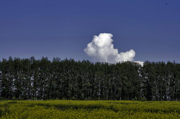 ПРИРОДА САМЫЙ ЛУЧШИЙ ХУДОЖНИК / Ветер рисует в облаках человеческие портреты. Голова смотрит в левый верхний угол.