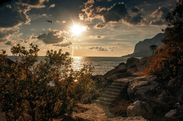 Осень в Ласпи / Крым,Ласпи