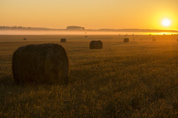 На рассвете / Утро на совхозном поле по заготовке сена.