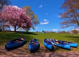 Stadtpark Hamburg / Гамбург. Городской парк