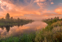 утренние краски / раннее утро на озере.Белорусское полесье