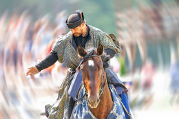 Рыцарский турнир / Международный конный фестиваль