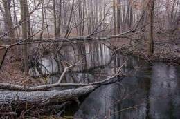 &nbsp; / Татарстан,с.Айша,река Сумка