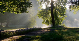 Утро в старом парке......... / Шуваловский парк. Август