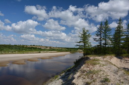 Северный этюд. / Снимок сделан в июле 2017 года на реке Нгаркапоиловояха, Надымский район, Тюменской области.