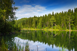 Лесное озеро / Озеро лесное,
Дивной красоты,
Нежно голубое
Зеркало воды.