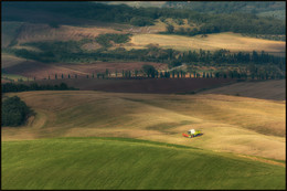 Урожай не ждёт / Уборочная страда в Тоскане.