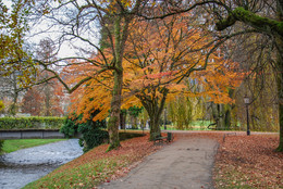 Осенний Баден-Баден / Парк в Бадене