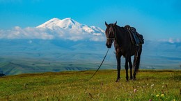 Бермамыт / плато Бермамыт, вид на гору Эльбрус, Карачаево-Черкесская Республика