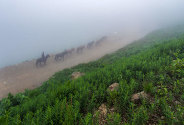 Уходящие в туман... / Сочи, Роза хутор.

http://www.youtube.com/watch?v=8n1FH6xVIj4