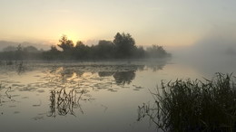На озере туман. / Летнее утро на озере Сосновое.