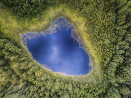Лесное озеро. / ...&quot;Никуда не денешься, так к себе манит
Колдовское озеро, голубой магнит.&quot;...
Добрынин Вячеслав - Колдовское озеро
