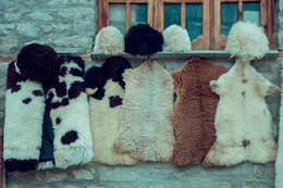 шкуры / поселок Лахыдж , Азербайджан