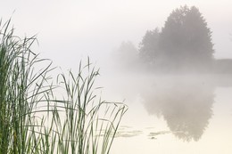 В густом тумане / Утро на реке Псел с густым туманом!