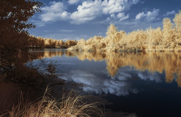 Озеро. / &quot;Осень&quot; на озере в инфракрасном свете.