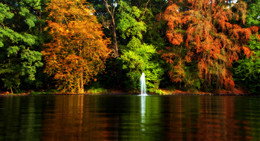 &nbsp; / В ОСЕННИХ ОБЪЯТЬЯХ