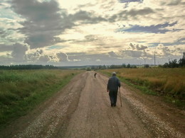 Старик и собака. / Дорога и путник, и собака..