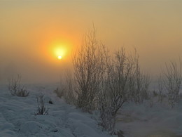 Доброе утро / Зимний восход