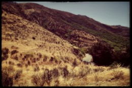 &nbsp; / канарские зарисовки...