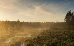 Солнечное болото / Рассветные туманы.