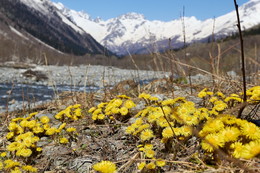 &nbsp; / Домбай, весна_2018