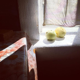 Яблоки на окне в Овсянниково в августе 2018 / Яблоки на окне в Овсянниково в августе 2018