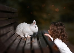Следуй за белым кроликом... / Кролик и девочка в лесу
