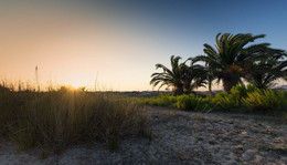 Южный пейзаж. / о.Кос.